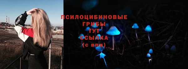 кокс Вяземский