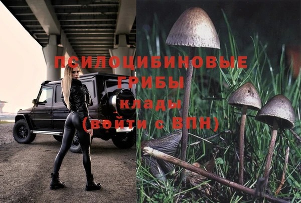бутират Горно-Алтайск
