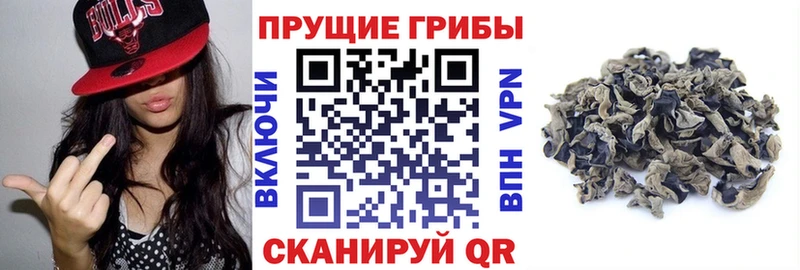 продажа наркотиков  Омутнинск  Псилоцибиновые грибы прущие грибы 