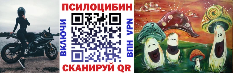 Псилоцибиновые грибы GOLDEN TEACHER Омутнинск